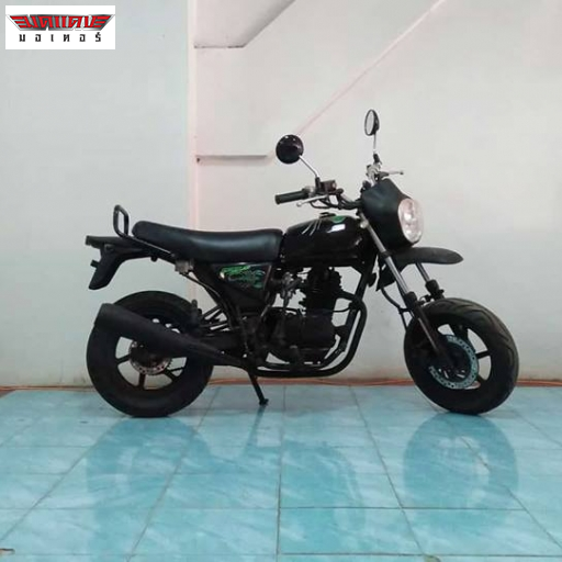 PONY 100